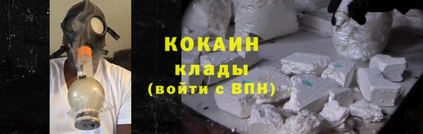 тгк Богородицк