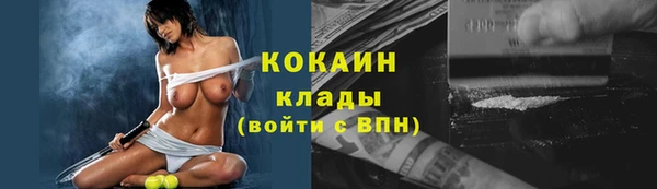 тгк Богородицк