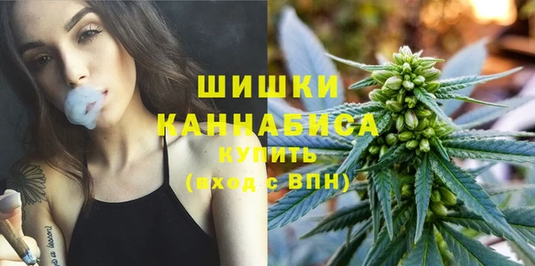 дурь Богданович