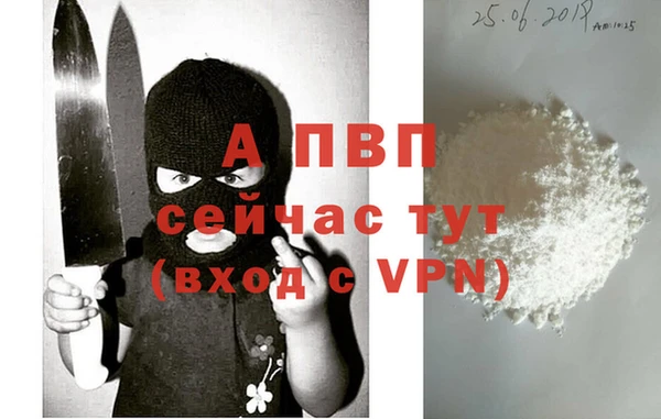тгк Богородицк