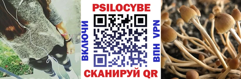 Псилоцибиновые грибы Magic Shrooms Купить где Бежецк